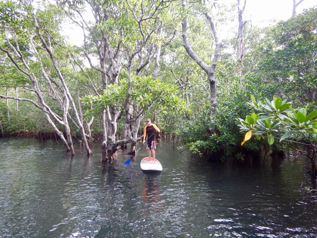 Sau Bay Resort - Off Taveuni Na Sau Bay 외부 사진